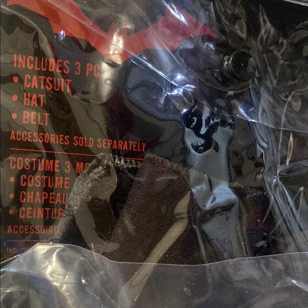 Catwoman Halloween Costume - Picture 5 of 5